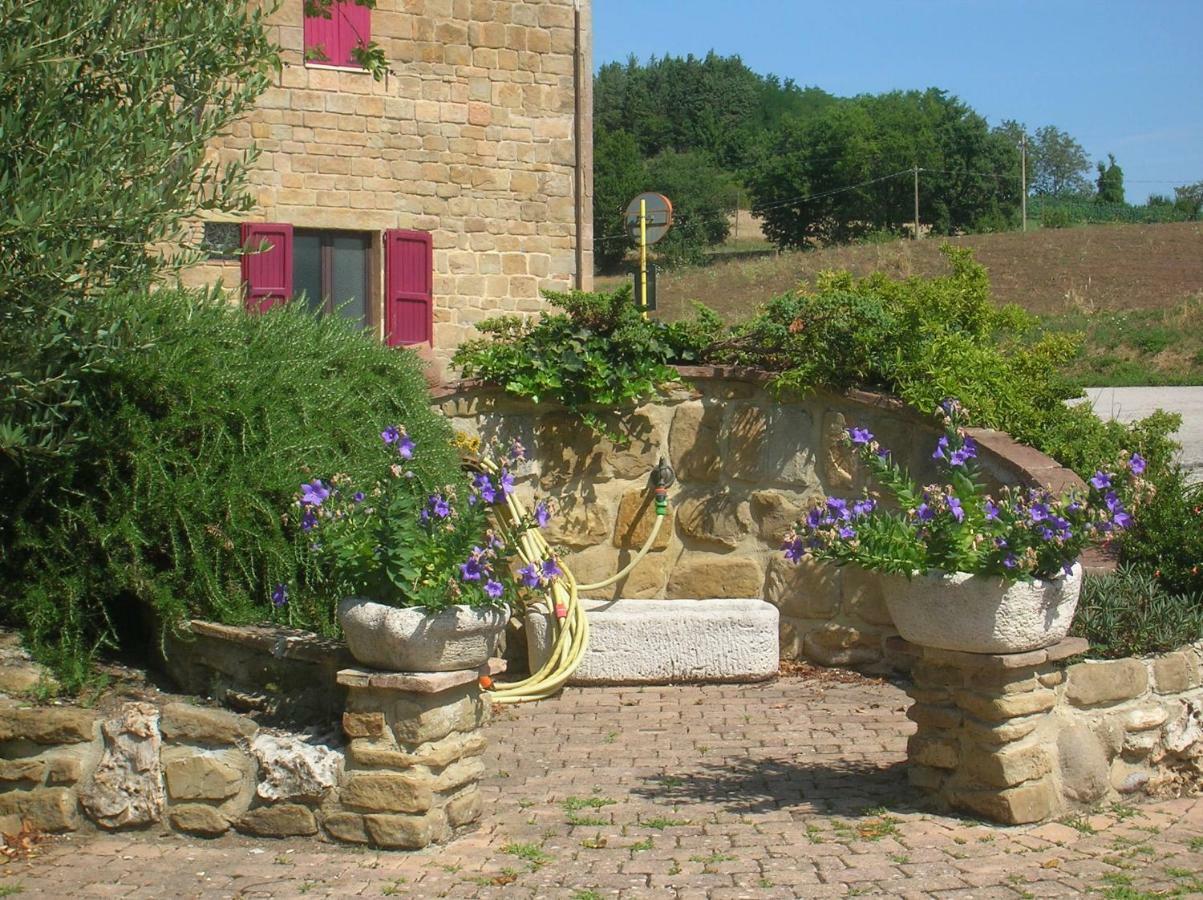 Ferienwohnung Mansarda Viti - Sguardo Su Frontone - Exterior foto